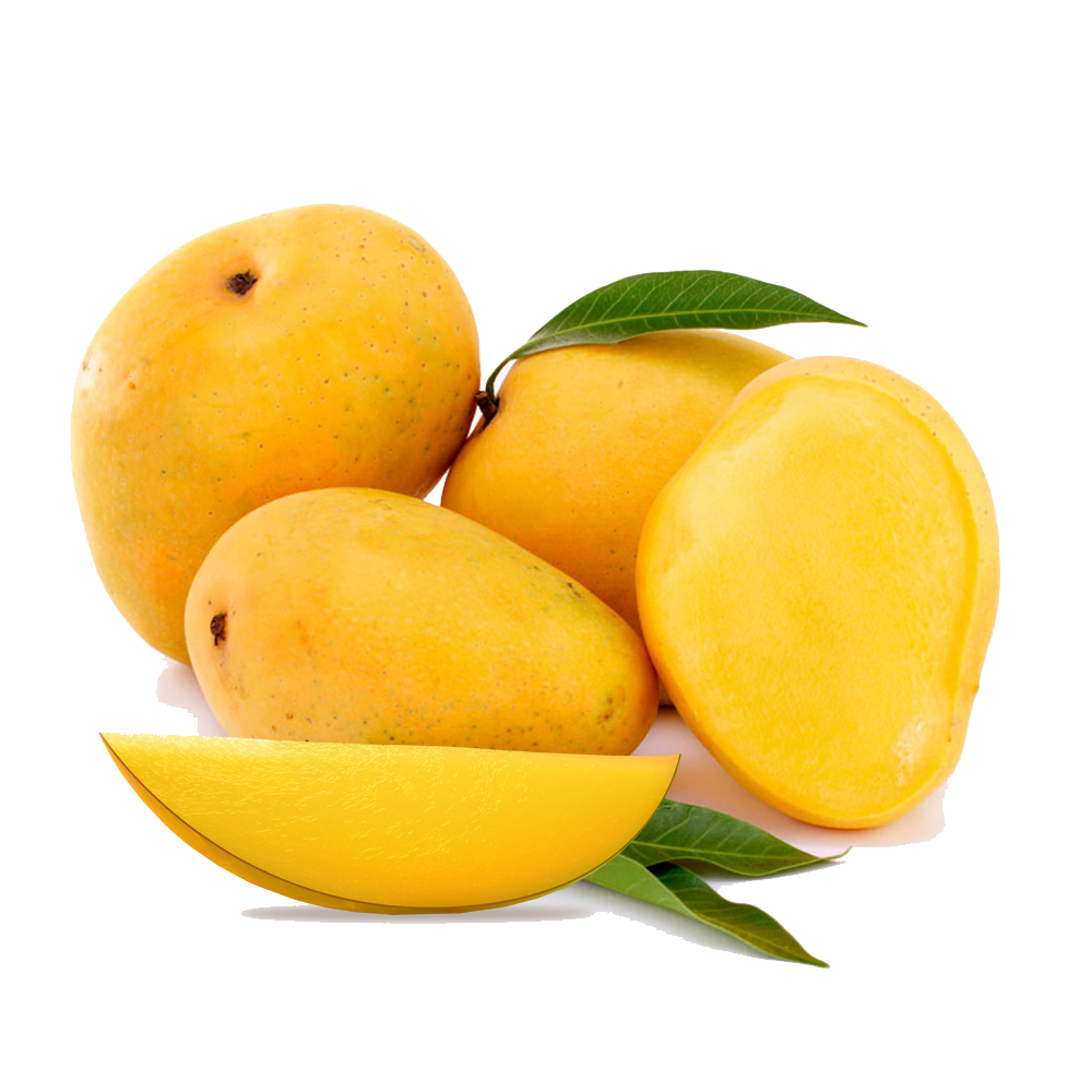 Organic mango illustration